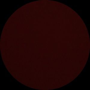 Meet your Posher, Carl